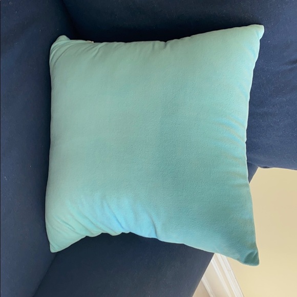 Accents 2 Tiffany Blue Velvet Throw Pillows 18x18 Poshmark